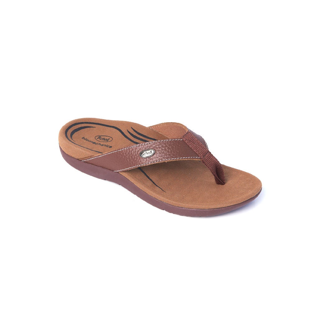 SCHOLL