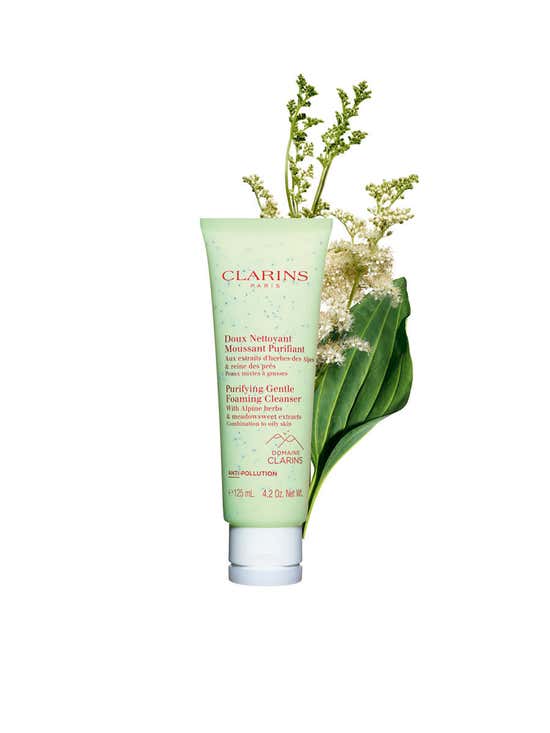 CLARINS չ Purifying Gentle Foaming Cleanser 125 . | Ŵ 10.0% |  Central Online