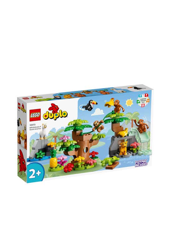 LEGO DUPLO Bricks Set 9027