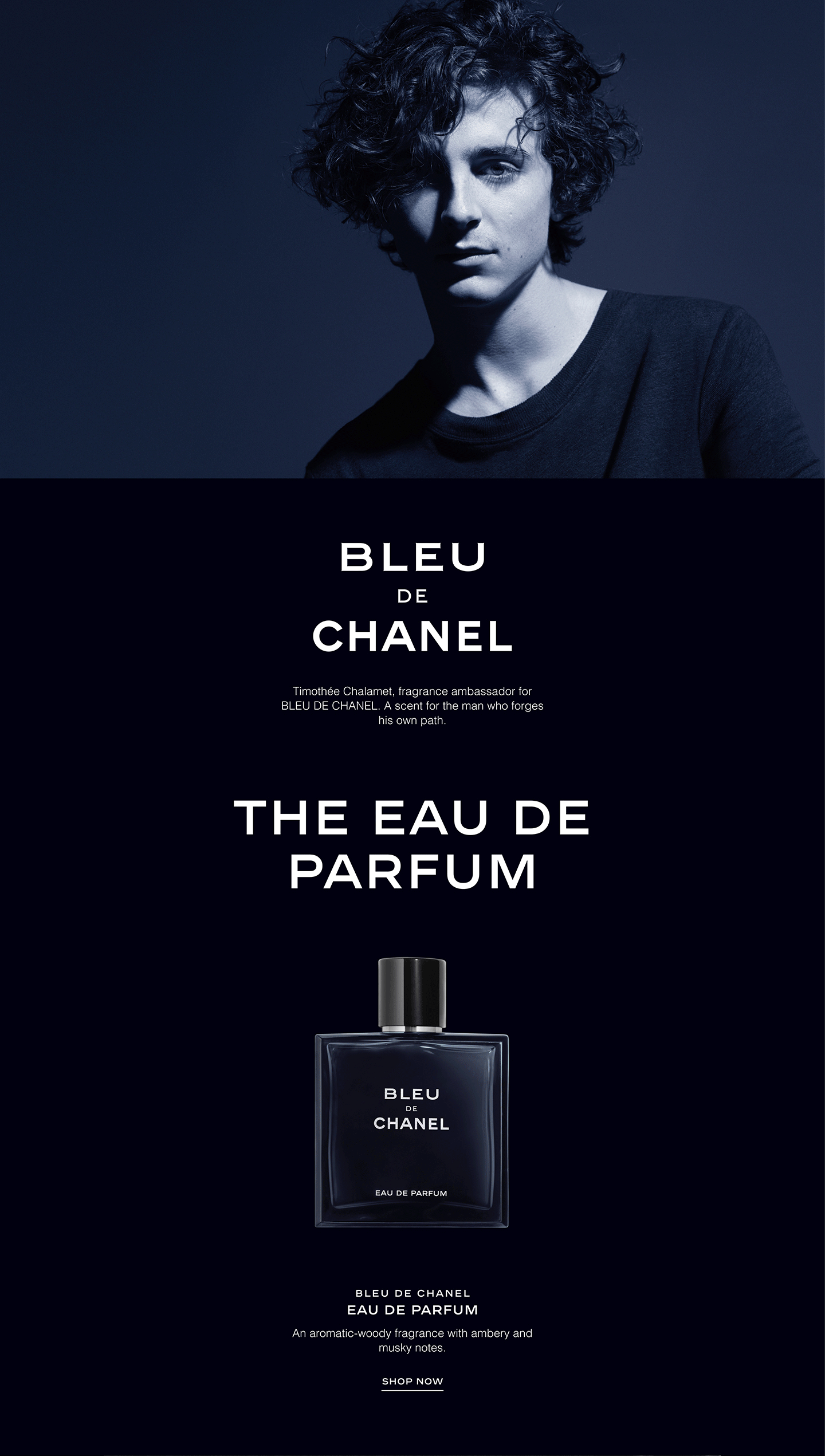 Bleu de chanel central outlet