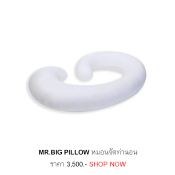 MR BIG PILLOW หมอนจัดท่านอน รุ่น Nine สีขาว
