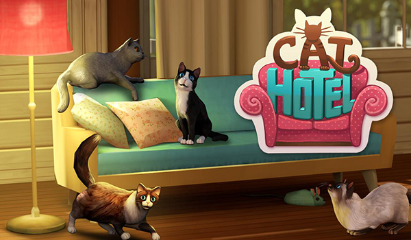 cathotel-hotel-for-cute-cats