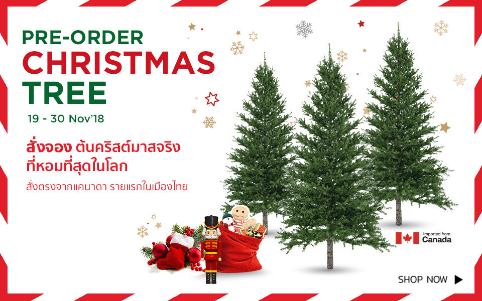 preorder-christmas-tree2