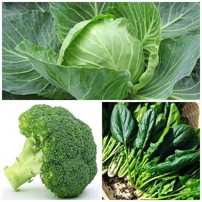 Brocoli_Spinach_Cabbage_Dog_Food