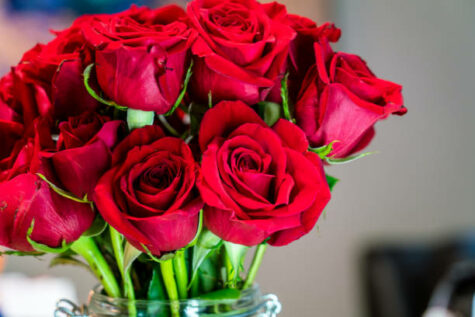 6 RED ROSES