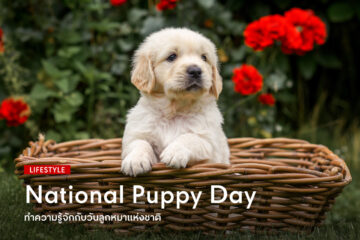 Get-to-know-National-Puppy-Day