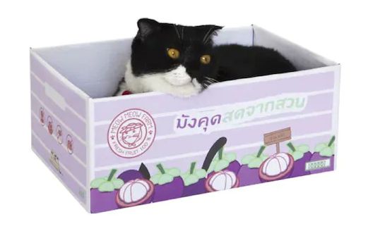 KAFBO CAT BOX