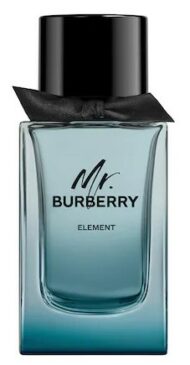 NATURE DAD BURBERRY MR.BURBERRY ELEMENT