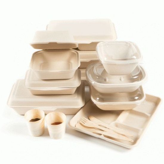 SAVE THE EARTH BIOGRADABLE FOOD CONTAINER 3