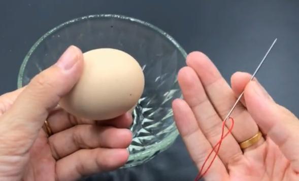 egg with needle