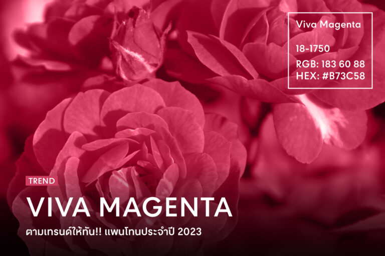 pantone-2023-viva-magenta-meaning-and-others