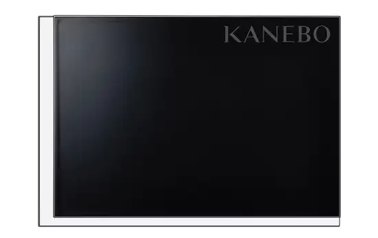 kanebo case